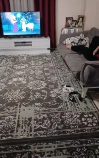 فرش ۹ متری