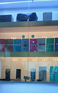 کوچک کننده بینی