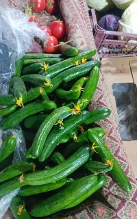 چرخ میوه فروشی