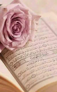 خانمی هستم که ختم قرآن صلوات زیارت عاشورا نماز