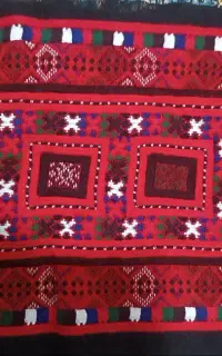 زی و گفتان