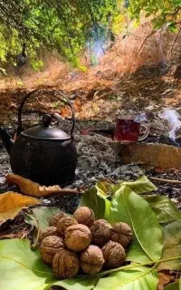 تور بانه