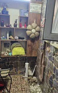 کتابخانه تمام ام دی اف