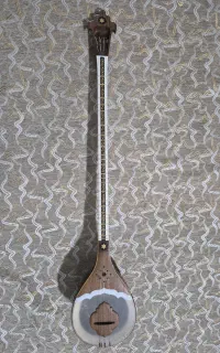 سه تار پوستی حرفه ای