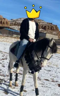اسب