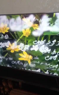 ف وش ال ای دی ۵۰اینچ