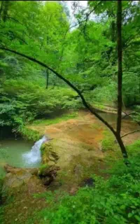 تور طبیعت گردی