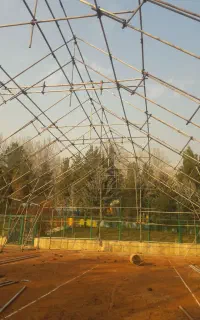 داربست