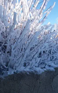 نقاشی ساختمان ،نصب ایزوبام،جوشکاری
