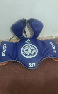 هوگو تکواندو