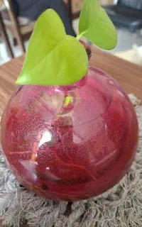 خانم مجردباروابط عمومی بالاوفن بیان قوی