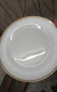 سرویس چینی استخونی روزنتال اصل آلمان