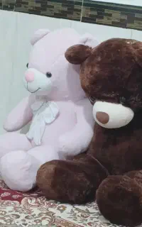 خرس بزرگ