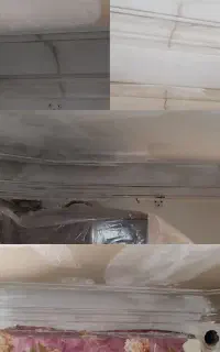 نقاشی حرفه ای کناف/گچ و نمای ساختمان