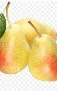 گلابی اسپادانا