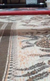 اسکیت برد