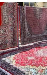 نیروی کارقالیشویی