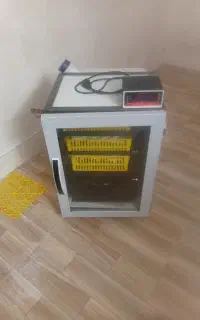 دستگاه جوجه کشی نو نو