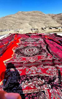 داربست چمن مصنوعی استیج نورپردازی