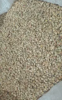 سماق