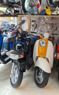 پاکشتی وسپا در رنگبندی