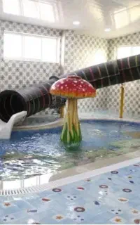 بلیط استخر باران (تحویل درب استخر)