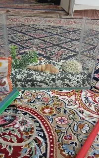آکواریوم