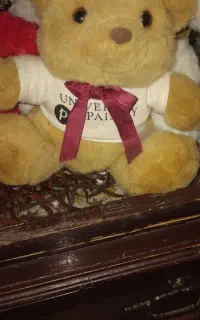 عروسک ها نو نو