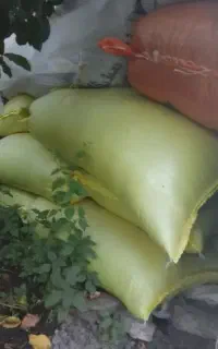جو جو جو