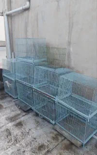 قفس سایز بزرگ فروش یکجا