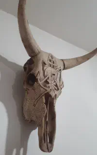 جمجمه گاو و قوچ و تابلو