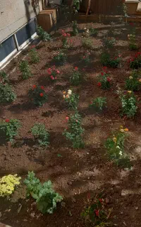 خدمات‌باغبانی‌درسراسر‌تهران