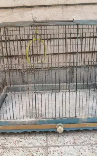 قفس پرنده
