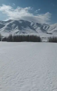 فروش سیمکارت۰۹۱۸۸۳۸۹۵۰۵