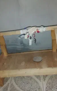 گهواره چوبی ۸۰۰هزارتومان