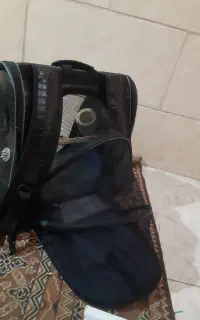 کوله پشتی پرنده