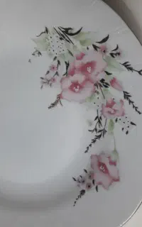 بشقاب چینی