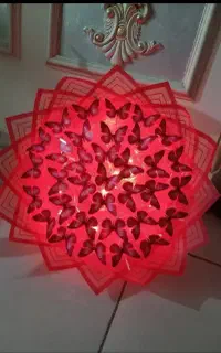 دیاری روژی کچ