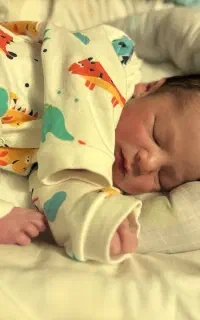 مرکز تخصصی چاپ و طراحی نگارین