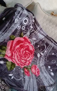 حراج پتو