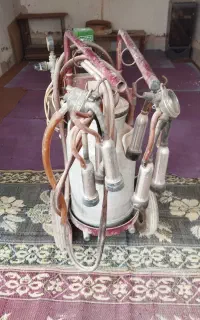 شیردوش دو‌واحدی