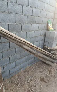 تعداد چوب هرس سقف