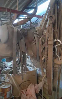 زین اسب