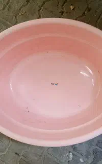 وان بزرگ نو نو