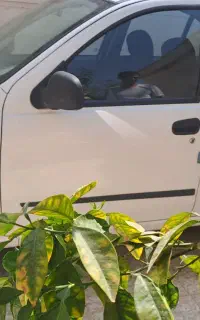 فروش تیبا تو مدل ۱۴۰۰