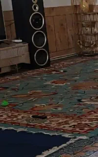 گلیم فرش ۱۲متری