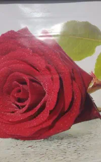 پرده اوپن