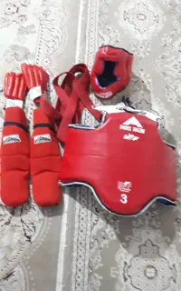 هوگوی مبارزه