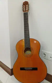 گیتار اصل ایرانی