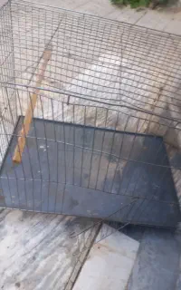 قفس پرنده